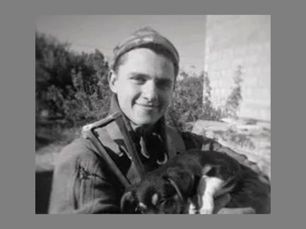 Картинка коллекции